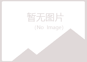 防城区夏岚金融有限公司